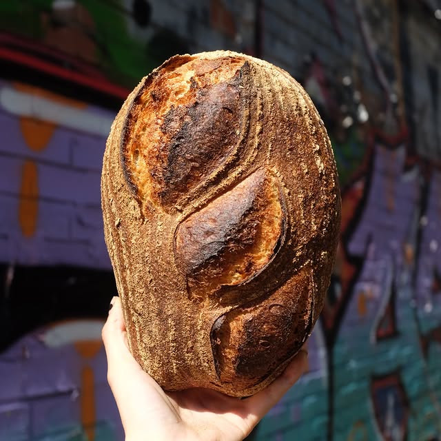 Post by companiobakery