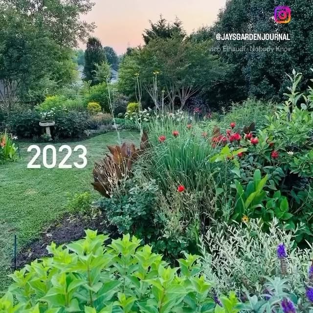 Post by jaysgardenjournal