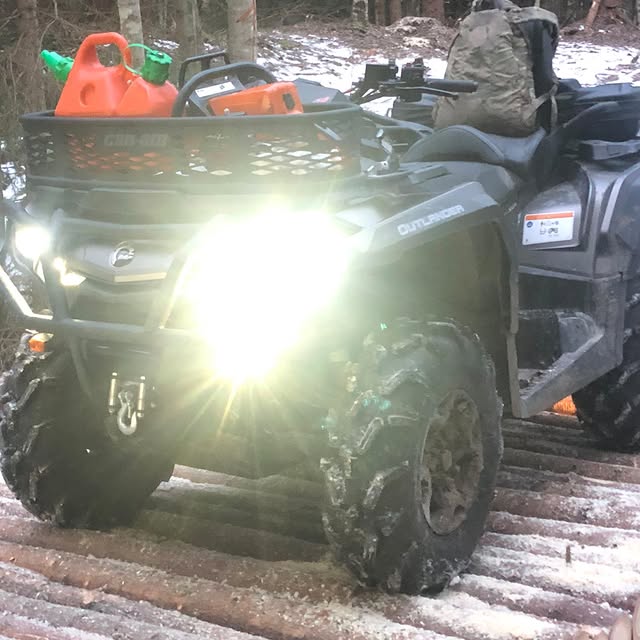 Post by nordicwilderness