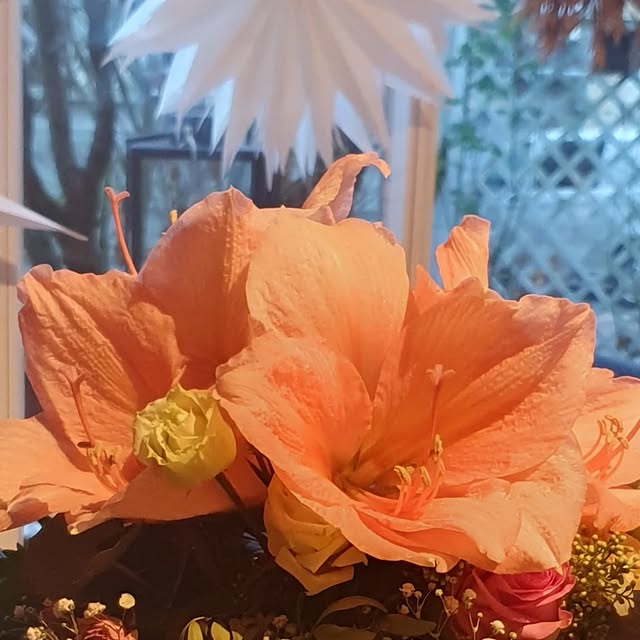 Post by notreroseraie