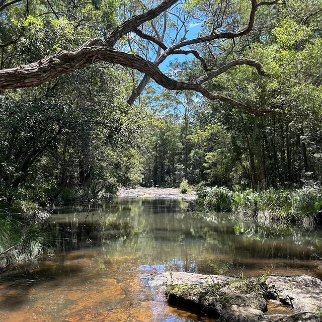 Post by thewildtimesco