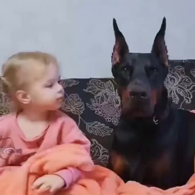 Post by zueirapetsoficial