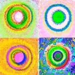 Renée🙋🏻‍♀️'s profile picture