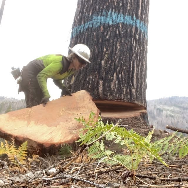 Post by urlocallumberjill