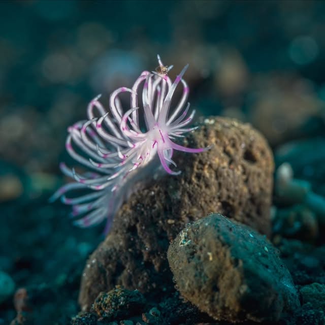 Post by floodedcamera