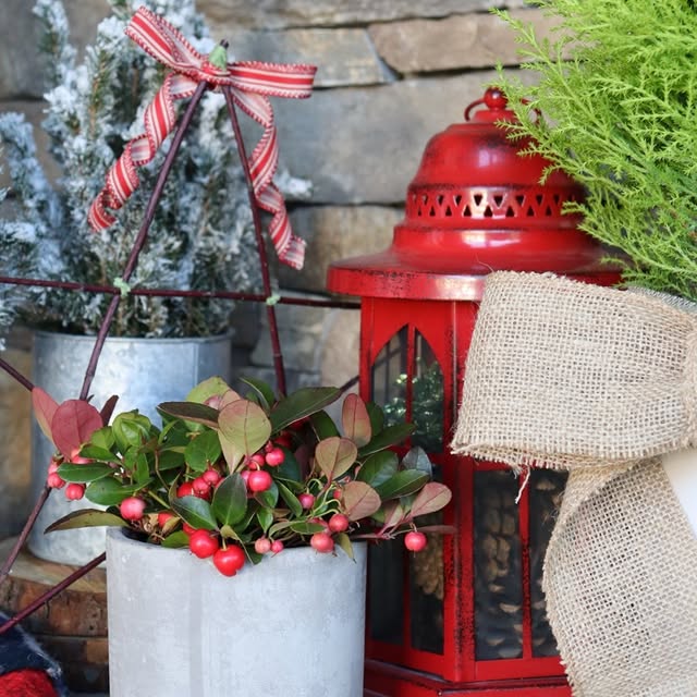 Post by greatgardenplants