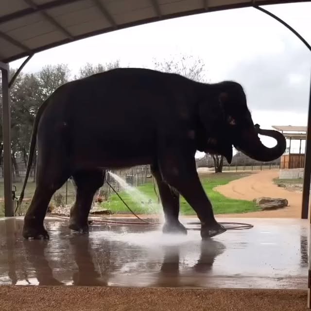 Post by fitnessaddicttionn