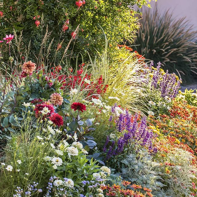 Post by rosannacastrinigardens