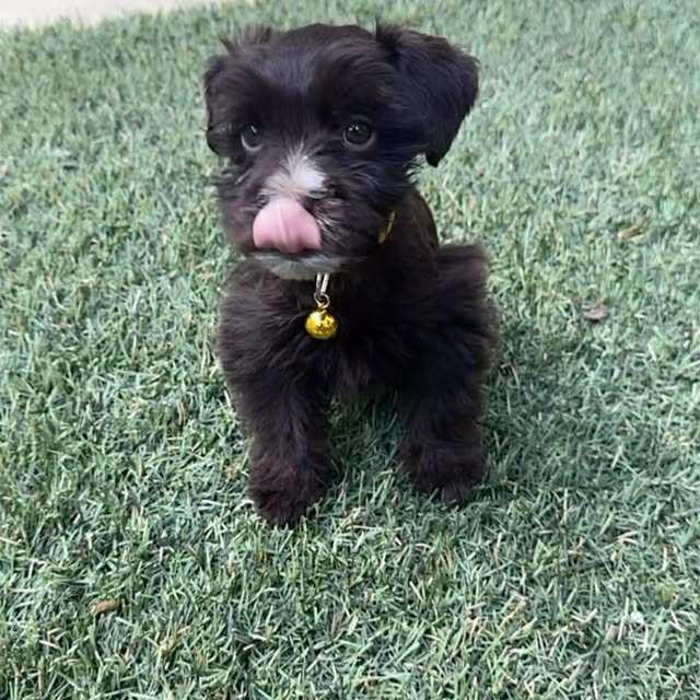 Post by rell_anthony_