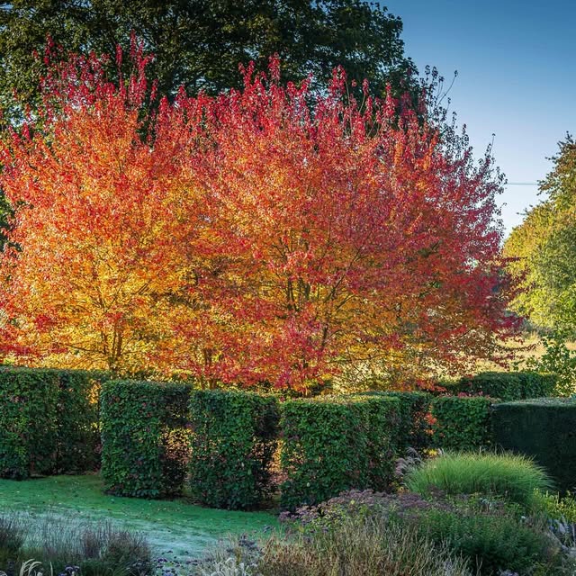 Post by jeremy.n.allen