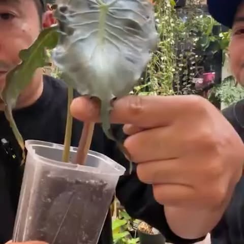 Post by garden_en2022