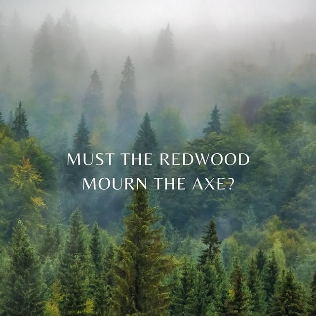 Post by online1roomschoolhouse