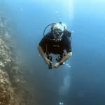 travelfordiving's profile picture