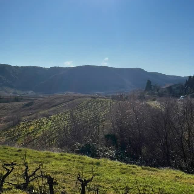 Post by anders.frederik.steen