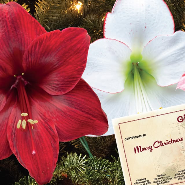 Post by gardengatemagazine