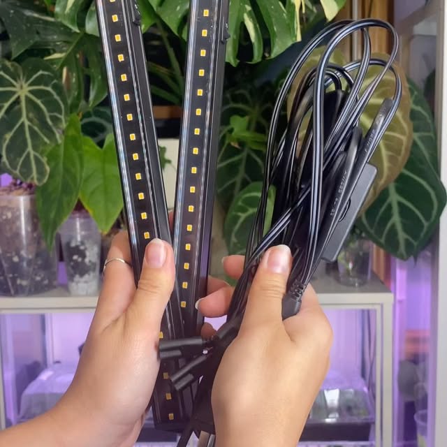 Post by kellylynn.plants