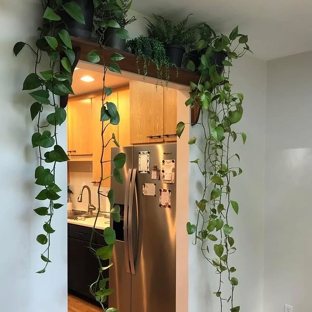 Post by plant_lovers4