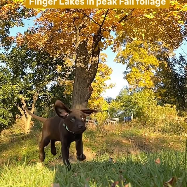 Post by stavingartist