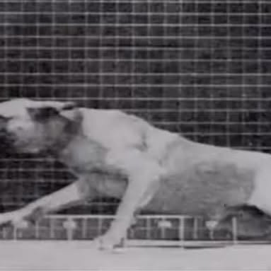 Post by another___kind