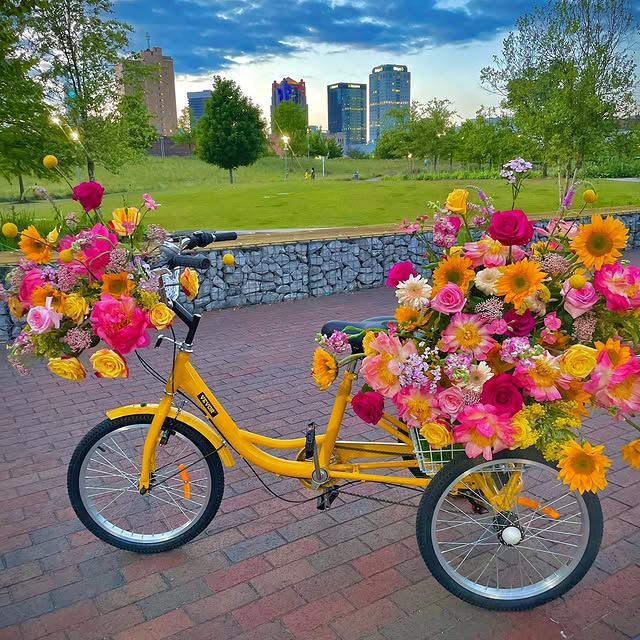 Post by christopherlauren