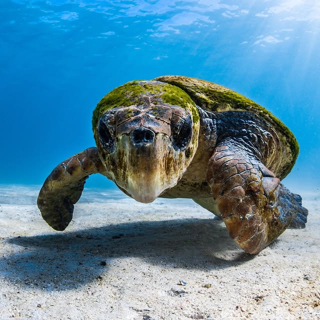 Post by jakewiltonphoto