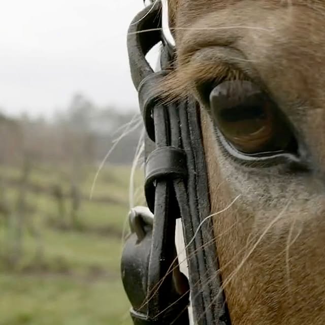 Post by littlewine.io