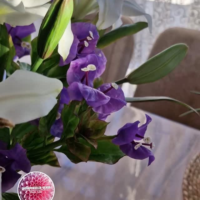 Post by sogukporselen_dekor