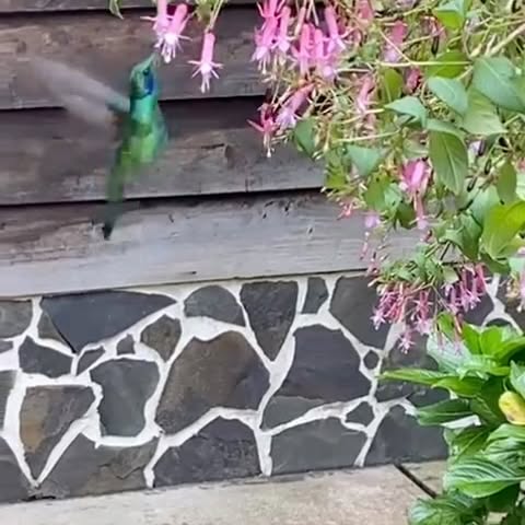 Post by world_odyssey