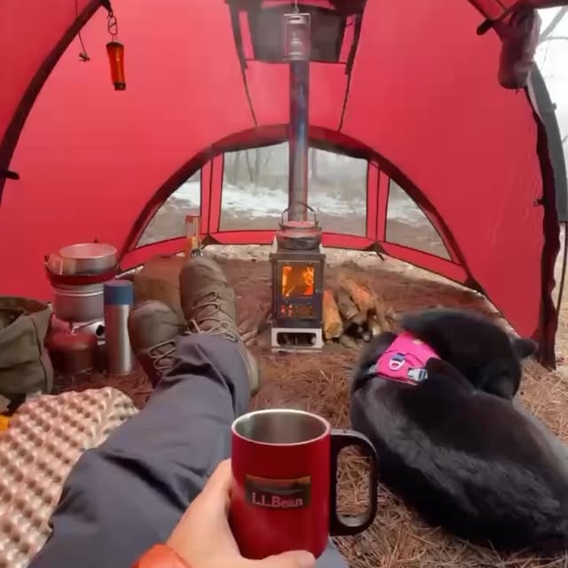 Post by pomolyofficial