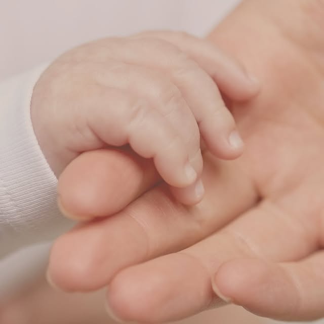 Post by lifeafterbirth_la