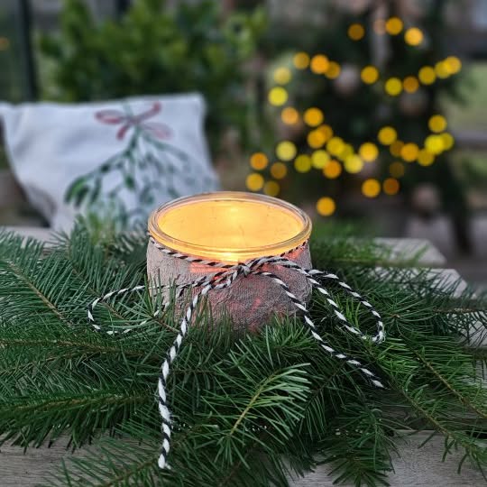 Post by tashas_garten