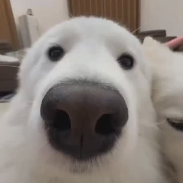 Post by millionpopsong