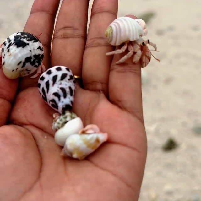 Post by that_hungrybelly