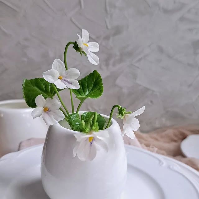 Post by artflower_by_anna