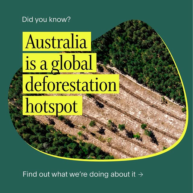 Post by australianethical