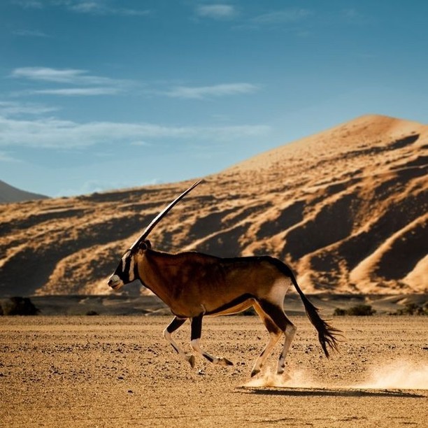 Post by ultimatetravelco