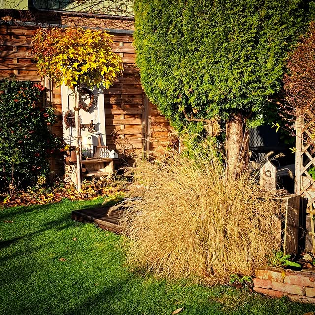 Post by home_gardendream