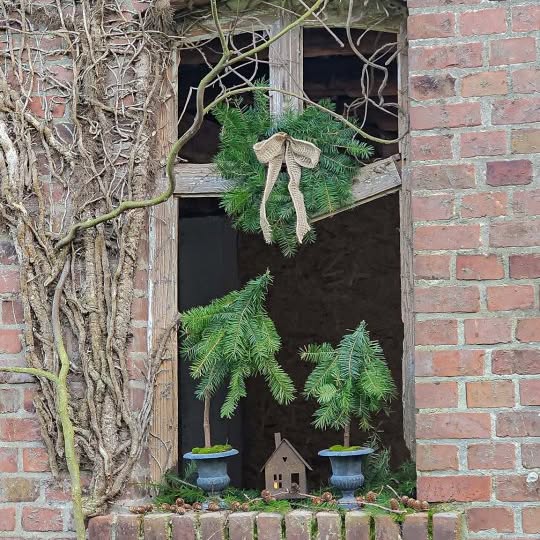 Post by tashas_garten