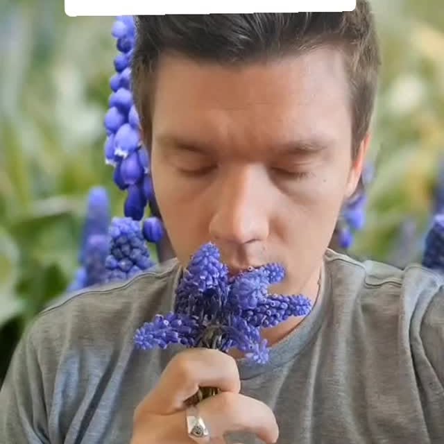 Post by nathandickeson