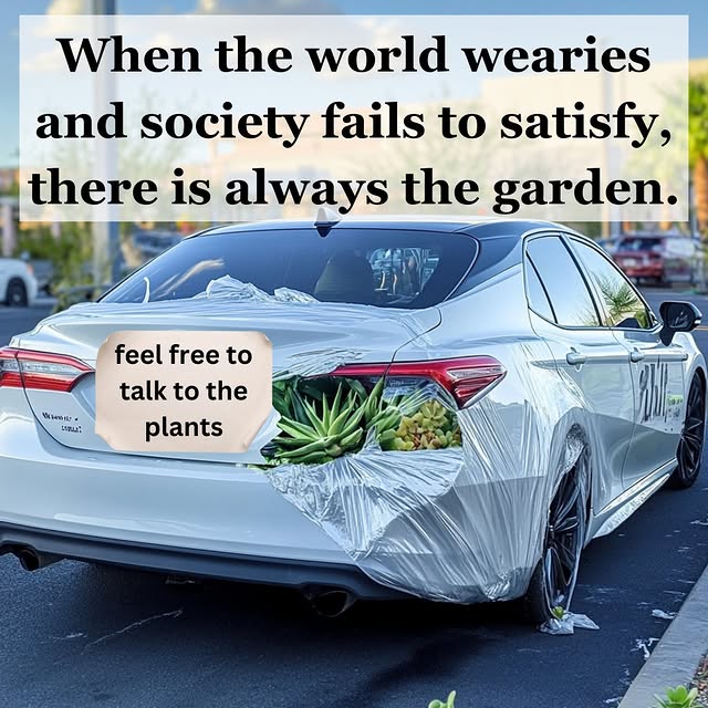 Post by thelostskillsacademy