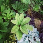 Katrin's profile picture