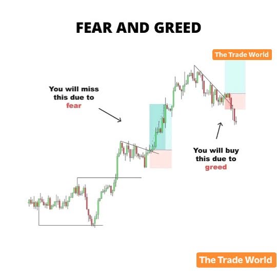 Post by thetradeworld_