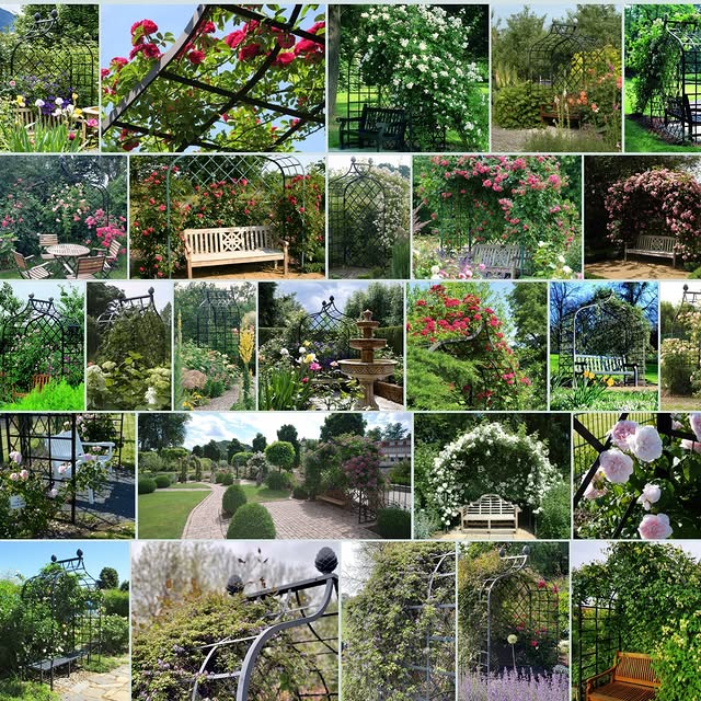 Post by classic_garden_e