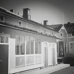 Niina Laakso's profile picture