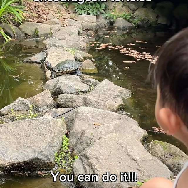 Post by adrian.xiaoming