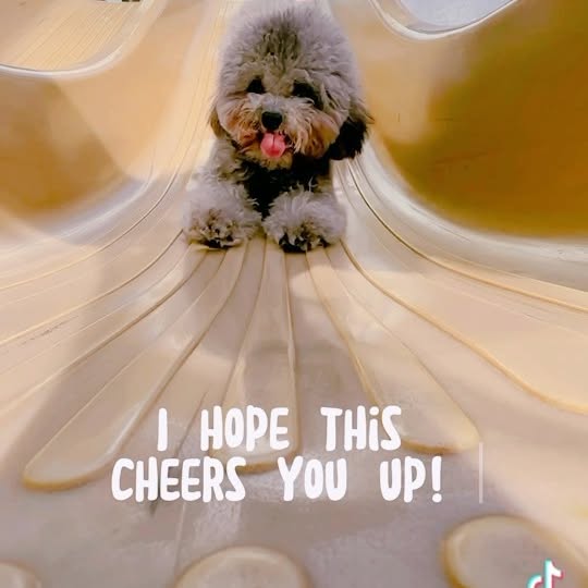 Post by sherrainelaw