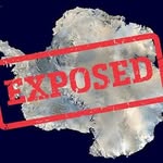 Expose Antarctica's profile picture