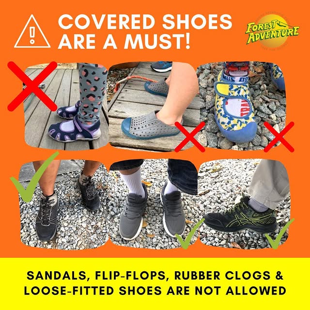 Post by forestadventuresg