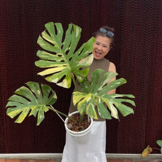 Post by mama.treehouse