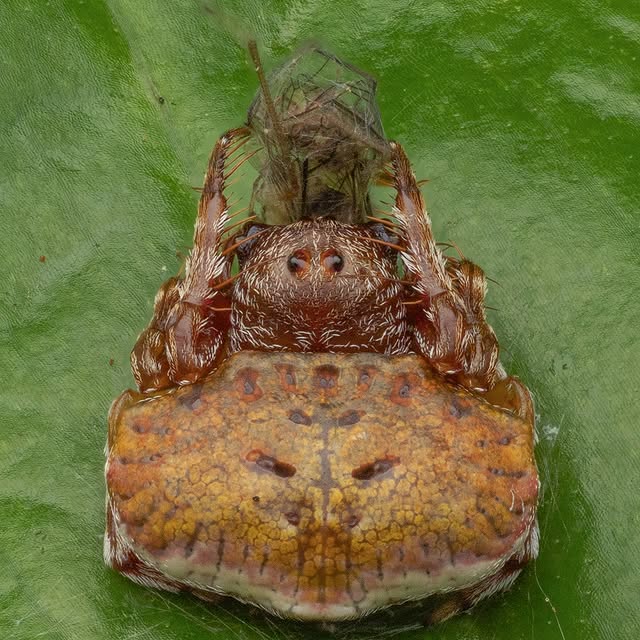 Post by hylton_in_nature